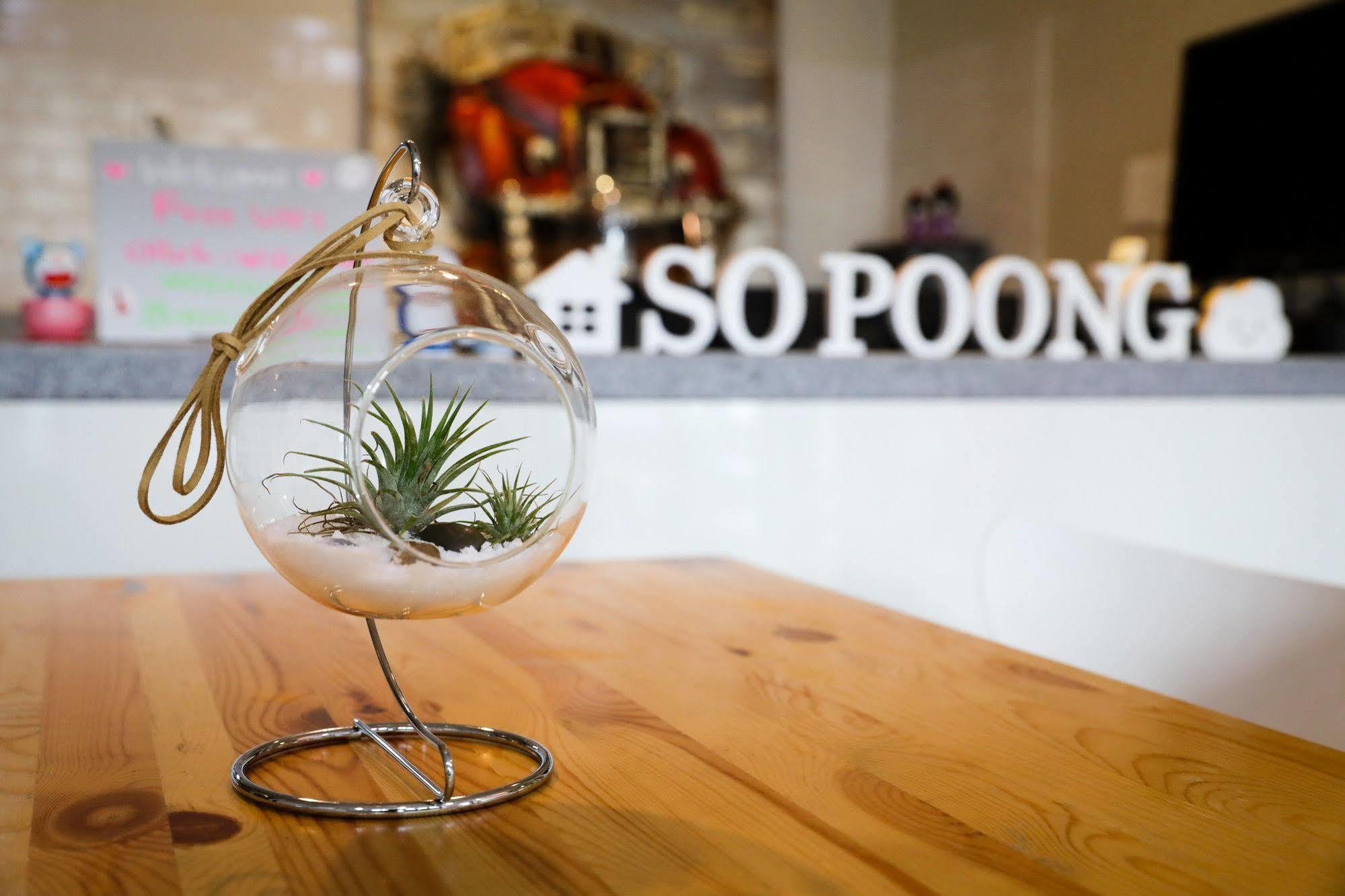 Sopoong Guesthouse Μπουσάν Εξωτερικό φωτογραφία